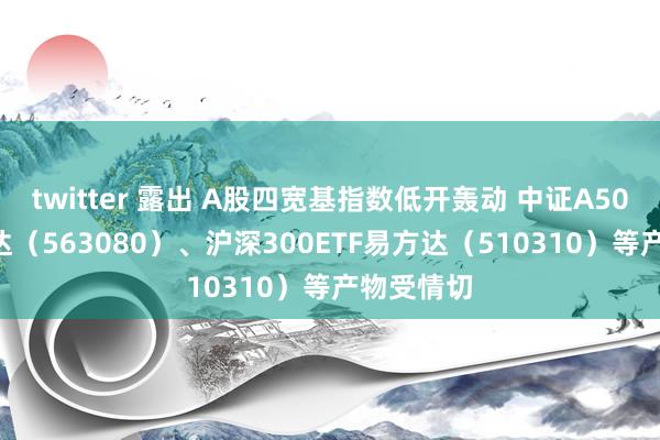 twitter 露出 A股四宽基指数低开轰动 中证A50ETF易方达（563080）、沪深300ETF易方达（510310）等产物受情切