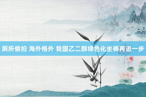 厕所偷拍 海外格外 我国乙二醇绿色化坐褥再进一步