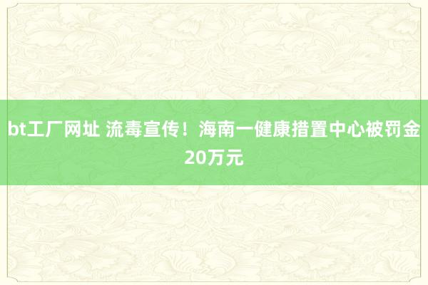 bt工厂网址 流毒宣传！海南一健康措置中心被罚金20万元