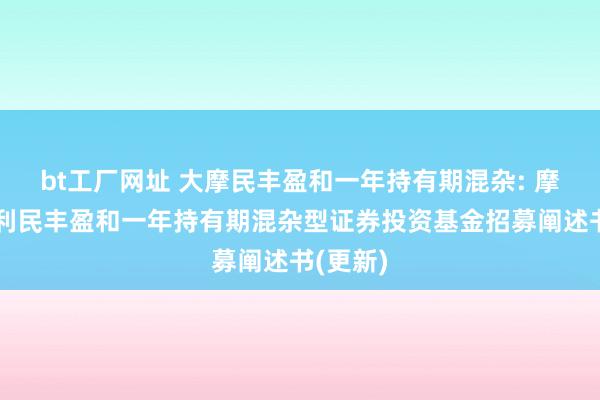 bt工厂网址 大摩民丰盈和一年持有期混杂: 摩根士丹利民丰盈和一年持有期混杂型证券投资基金招募阐述书(更新)
