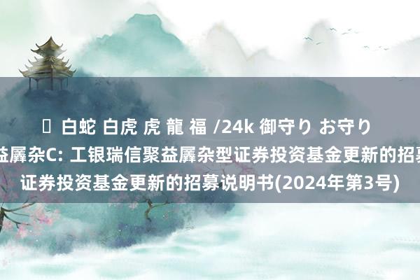 ✨白蛇 白虎 虎 龍 福 /24k 御守り お守り 工银聚益羼杂A,工银聚益羼杂C: 工银瑞信聚益羼杂型证券投资基金更新的招募说明书(2024年第3号)