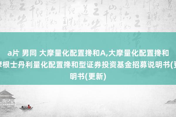 a片 男同 大摩量化配置搀和A,大摩量化配置搀和C: 摩根士丹利量化配置搀和型证券投资基金招募说明书(更新)