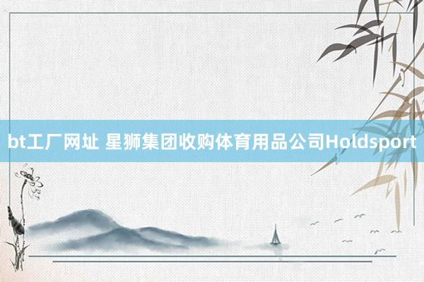 bt工厂网址 星狮集团收购体育用品公司Holdsport