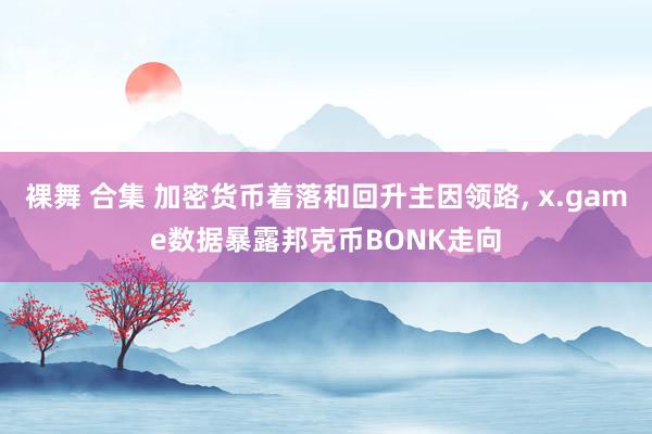 裸舞 合集 加密货币着落和回升主因领路， x.game数据暴露邦克币BONK走向