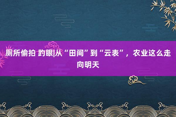 厕所偷拍 趵眼|从“田间”到“云表”，农业这么走向明天