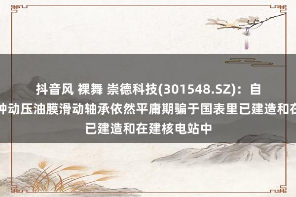 抖音风 裸舞 崇德科技(301548.SZ)：自主劝诱的种种动压油膜滑动轴承依然平庸期骗于国表里已建造和在建核电站中