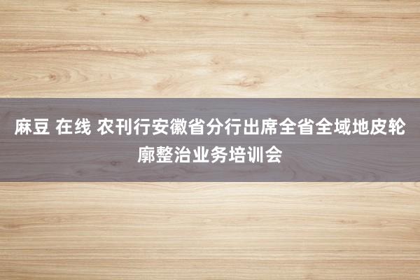 麻豆 在线 农刊行安徽省分行出席全省全域地皮轮廓整治业务培训会
