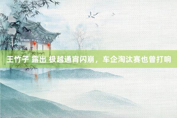 王竹子 露出 极越通宵闪崩，车企淘汰赛也曾打响