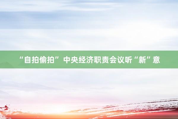 “自拍偷拍” 中央经济职责会议听“新”意