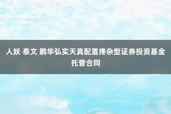 人妖 泰文 鹏华弘实天真配置搀杂型证券投资基金托管合同