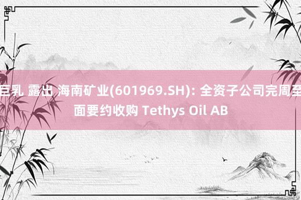 巨乳 露出 海南矿业(601969.SH): 全资子公司完周至面要约收购 Tethys Oil AB