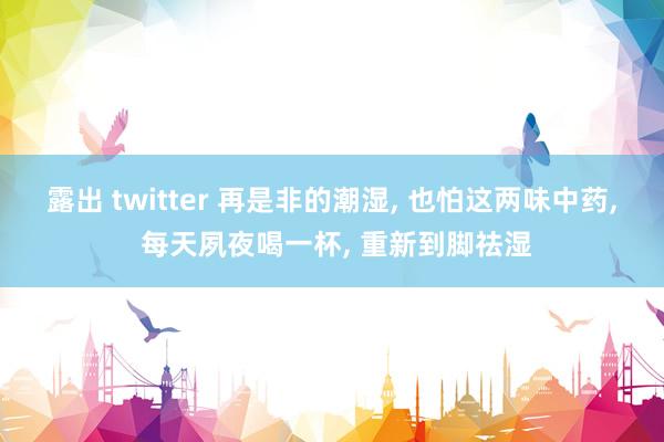 露出 twitter 再是非的潮湿， 也怕这两味中药， 每天夙夜喝一杯， 重新到脚祛湿