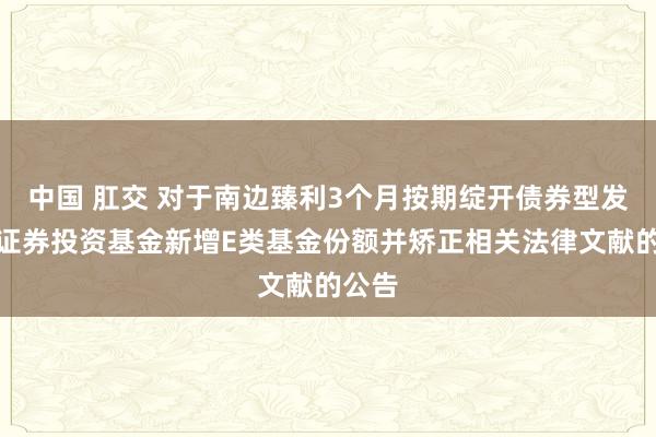 中国 肛交 对于南边臻利3个月按期绽开债券型发起式证券投资基金新增E类基金份额并矫正相关法律文献的公告