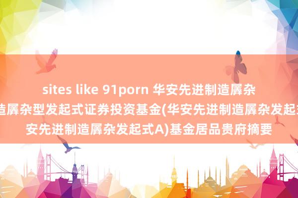 sites like 91porn 华安先进制造羼杂发起式A: 华安先进制造羼杂型发起式证券投资基金(华安先进制造羼杂发起式A)基金居品贵府摘要