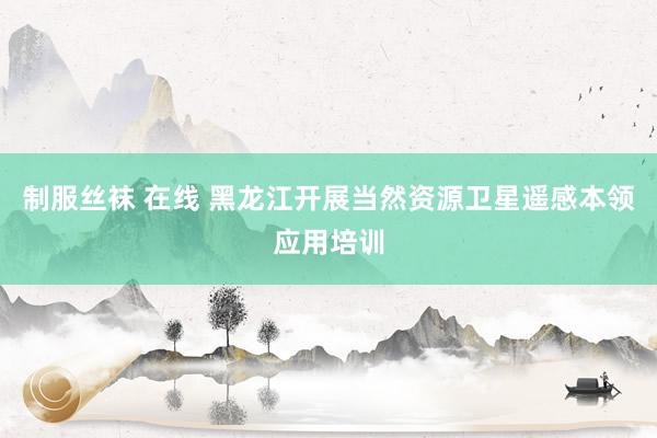 制服丝袜 在线 黑龙江开展当然资源卫星遥感本领应用培训