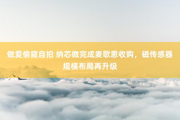 做爱偷窥自拍 纳芯微完成麦歌恩收购，磁传感器规模布局再升级