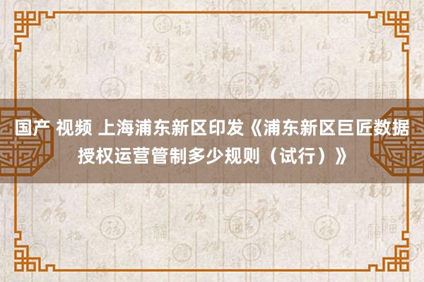 国产 视频 上海浦东新区印发《浦东新区巨匠数据授权运营管制多少规则（试行）》