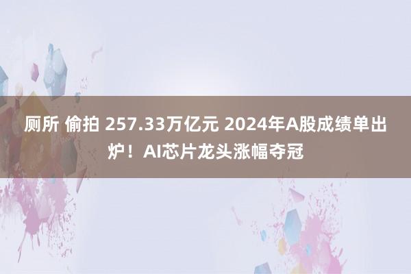 厕所 偷拍 257.33万亿元 2024年A股成绩单出炉！AI芯片龙头涨幅夺冠