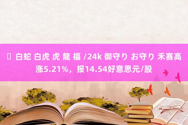 ✨白蛇 白虎 虎 龍 福 /24k 御守り お守り 禾赛高涨5.21%，报14.54好意思元/股