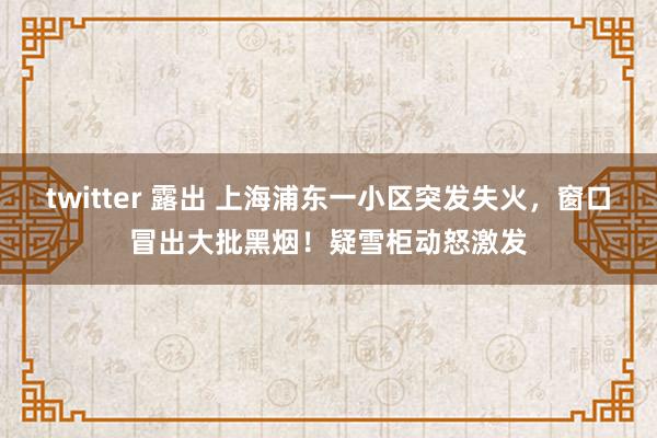 twitter 露出 上海浦东一小区突发失火，窗口冒出大批黑烟！疑雪柜动怒激发