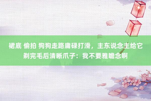 裙底 偷拍 狗狗走路庸碌打滑，主东说念主给它剃完毛后清晰爪子：我不要雅瞻念啊