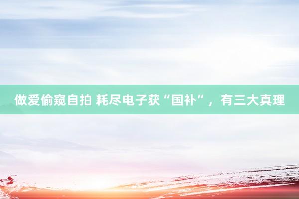 做爱偷窥自拍 耗尽电子获“国补”，有三大真理