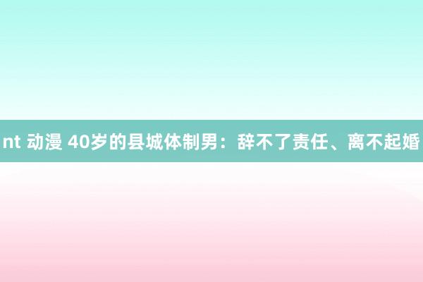 nt 动漫 40岁的县城体制男：辞不了责任、离不起婚