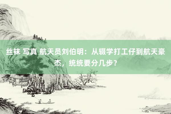 丝袜 写真 航天员刘伯明：从辍学打工仔到航天豪杰，统统要分几步？