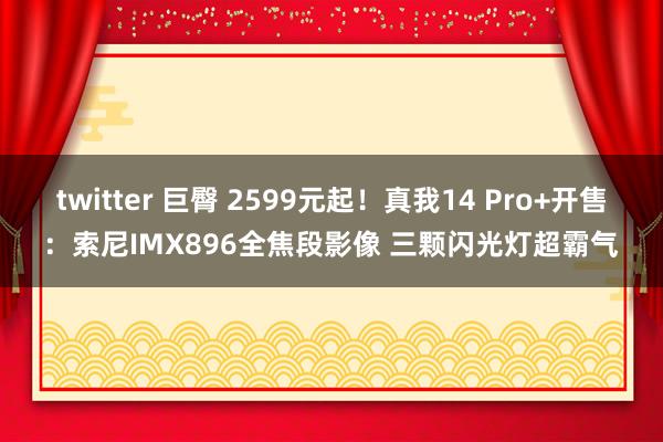 twitter 巨臀 2599元起！真我14 Pro+开售：索尼IMX896全焦段影像 三颗闪光灯超霸气