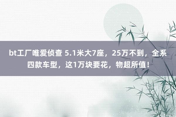 bt工厂唯爱侦查 5.1米大7座，25万不到，全系四款车型，这1万块要花，物超所值！