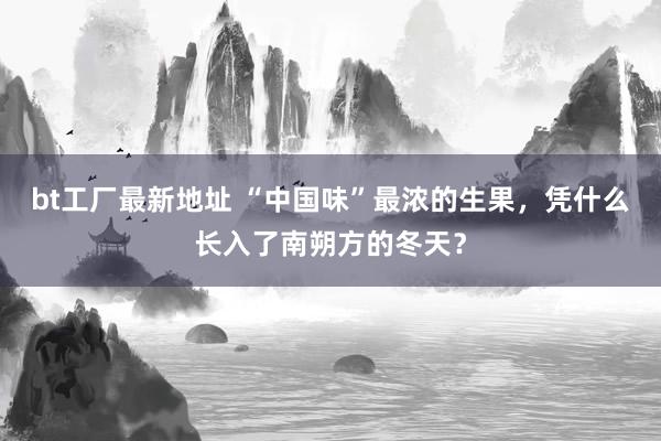bt工厂最新地址 “中国味”最浓的生果，凭什么长入了南朔方的冬天？