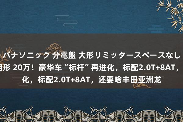 パナソニック 分電盤 大形リミッタースペースなし 露出・半埋込両用形 20万！豪华车“标杆”再进化，标配2.0T+8AT，还要啥丰田亚洲龙