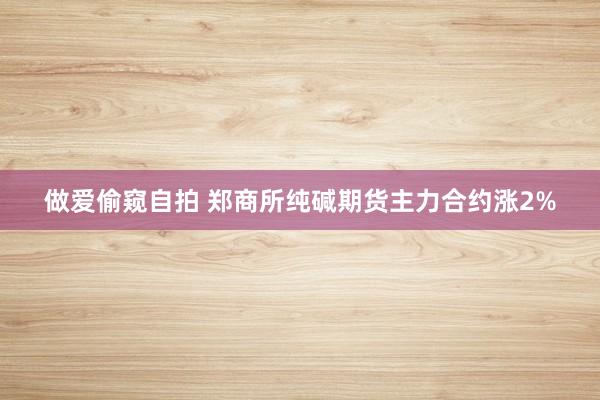 做爱偷窥自拍 郑商所纯碱期货主力合约涨2%