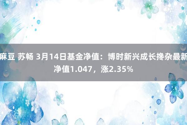 麻豆 苏畅 3月14日基金净值：博时新兴成长搀杂最新净值1.047，涨2.35%