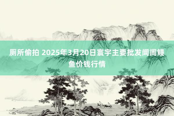 厕所偷拍 2025年3月20日寰宇主要批发阛阓鳗鱼价钱行情