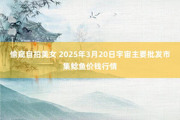偷窥自拍美女 2025年3月20日宇宙主要批发市集鲶鱼价钱行情