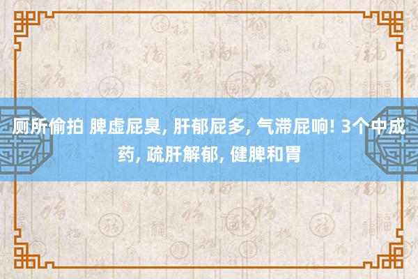 厕所偷拍 脾虚屁臭， 肝郁屁多， 气滞屁响! 3个中成药， 疏肝解郁， 健脾和胃