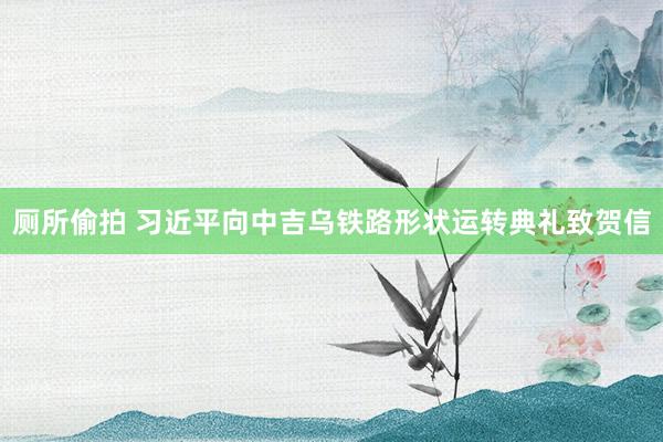 厕所偷拍 习近平向中吉乌铁路形状运转典礼致贺信