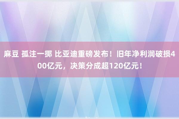 麻豆 孤注一掷 比亚迪重磅发布！旧年净利润破损400亿元，决策分成超120亿元！
