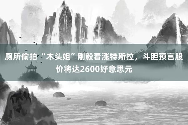厕所偷拍 “木头姐”刚毅看涨特斯拉，斗胆预言股价将达2600好意思元