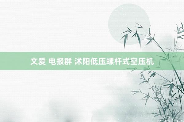 文爱 电报群 沭阳低压螺杆式空压机