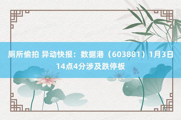 厕所偷拍 异动快报：数据港（603881）1月3日14点4分涉及跌停板