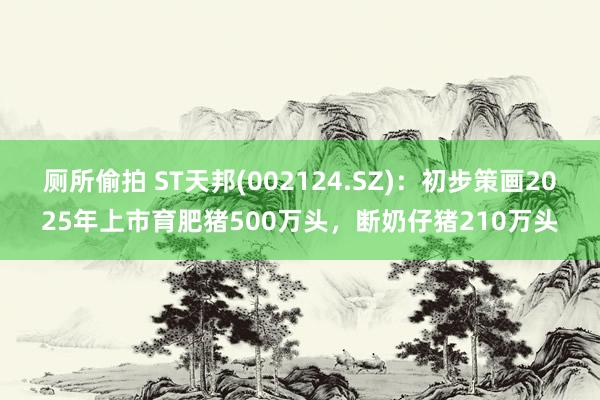 厕所偷拍 ST天邦(002124.SZ)：初步策画2025年上市育肥猪500万头，断奶仔猪210万头