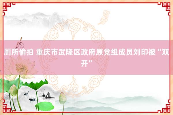 厕所偷拍 重庆市武隆区政府原党组成员刘印被“双开”