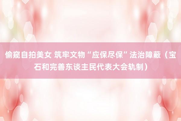 偷窥自拍美女 筑牢文物“应保尽保”法治障蔽（宝石和完善东谈主民代表大会轨制）