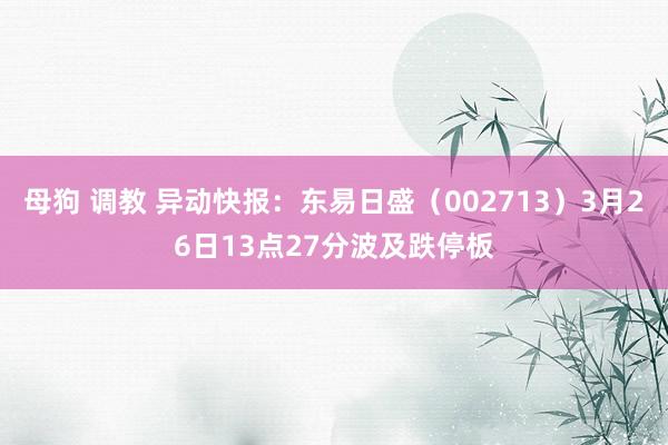 母狗 调教 异动快报：东易日盛（002713）3月26日13点27分波及跌停板