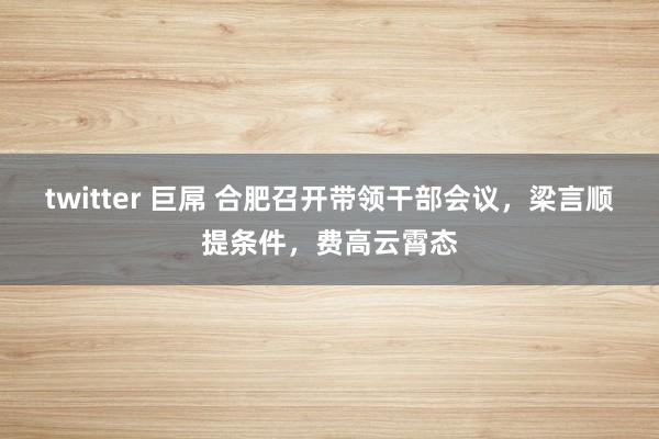 twitter 巨屌 合肥召开带领干部会议，梁言顺提条件，费高云霄态