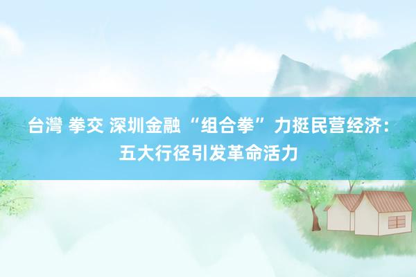 台灣 拳交 深圳金融 “组合拳” 力挺民营经济：五大行径引发革命活力