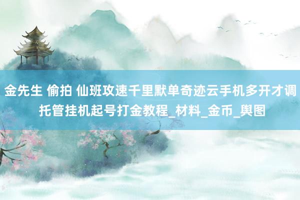 金先生 偷拍 仙班攻速千里默单奇迹云手机多开才调 托管挂机起号打金教程_材料_金币_舆图